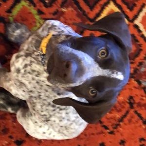 Meet your Posher, Laura